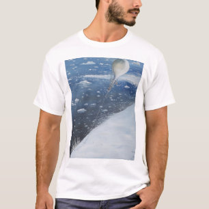 Kapitein Scott Antarctica's eerste Aeronaut. 4e T-shirt