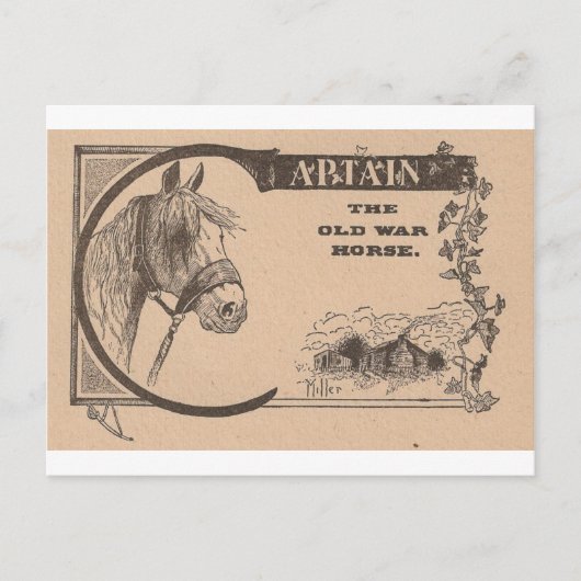 Kapitein The Old War Horse Briefkaart (Voorkant)