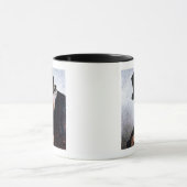 Kapitein van het Zee in ruste uit Massachusetts, 1 Mok (Midden)