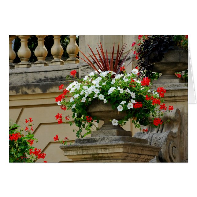 Kapitein's Square Flowers (Voorkant Horizontaal)