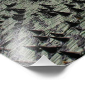 Kapok Tree @ Funchal, Portugal Foto print Foto Afdruk (Hoek)