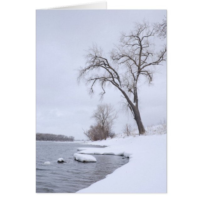 Kaposia Landing in Winter (Voorkant)