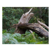 kapotte boom perfect poster (Voorkant)