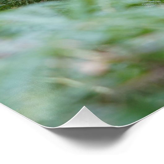 kapotte boom perfect poster (Hoek)