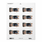 Kappa 河 童 Handstand Etiket (Full Sheet)