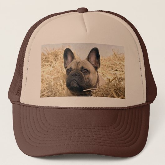 Kappe französische Bulldogge Trucker Pet (Voorkant)
