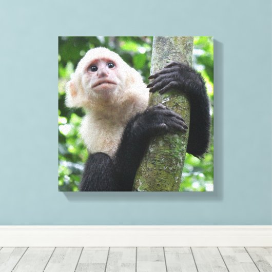 Kapucijnaapje canvas print (Insitu (Houten vloer))