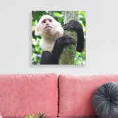 Kapucijnaapje canvas print (Insitu (Woonkamer))