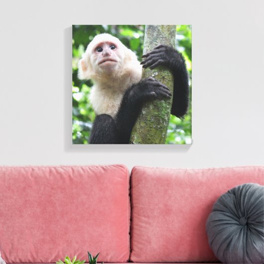 Kapucijnaapje canvas print (Insitu (Woonkamer))