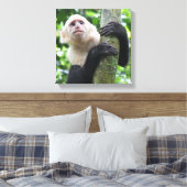 Kapucijnaapje canvas print (Insitu (Slaapkamer))
