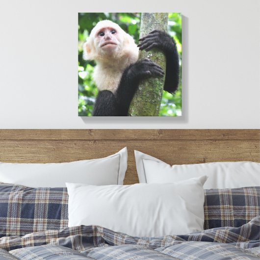 Kapucijnaapje canvas print (Insitu (Slaapkamer))