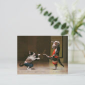 Karaatkatten Briefkaart (Staand voorkant)