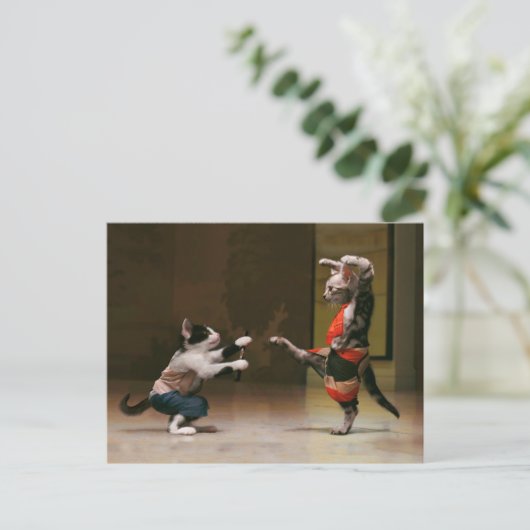 Karaatkatten Briefkaart (Staand voorkant)