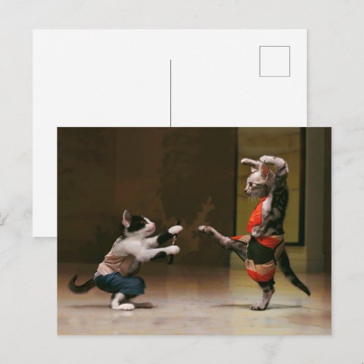 Karaatkatten Briefkaart (Voorkant / Achterkant)