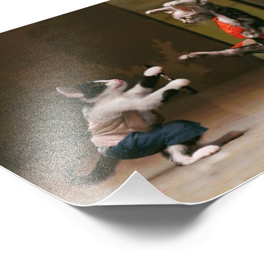 Karaatkatten Foto Afdruk (Hoek)