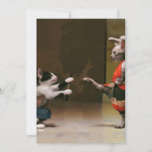 Karaatkatten Kaart (Achterkant)