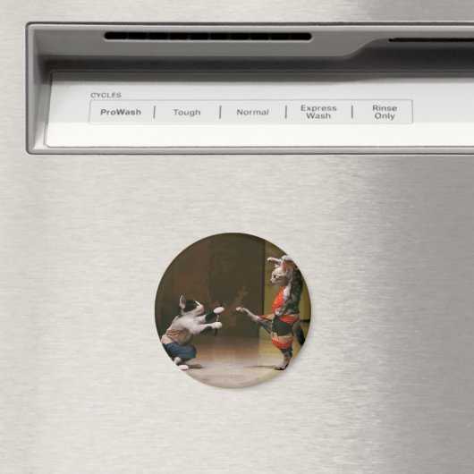 Karaatkatten Magneet (Insitu (Vaatwasser))