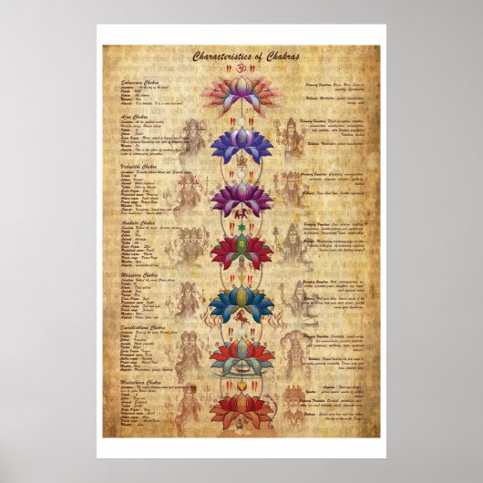 Karakteristieken van Chakras Yoga Art Print (Voorkant)