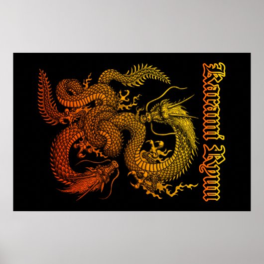 Karami Ryuu 1a Poster (Voorkant)