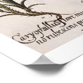 Karanjers: 1.Caryophyllus flore majore; 2. Caryop Poster (Hoek)