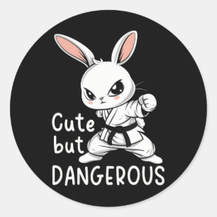 Karate Bunny Schattigee maar gevaarlijke grappige  Ronde Sticker