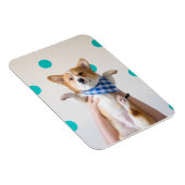 karate corgi magneet (Rechterzijde)