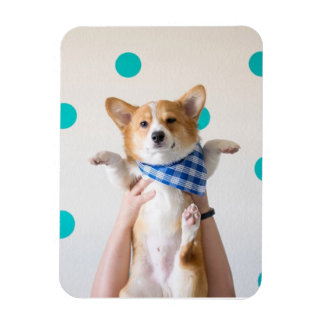 karate corgi magneet