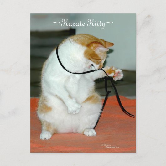 Karate Kitty Cat spelen Briefkaart (Voorkant)