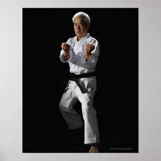 Karate master, portret, studio shot 2 poster (Voorkant)