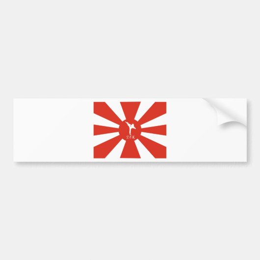 Karate Rays Bumpersticker (Voorkant)