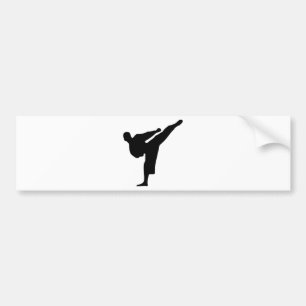 Karate Silhouette Bumpersticker