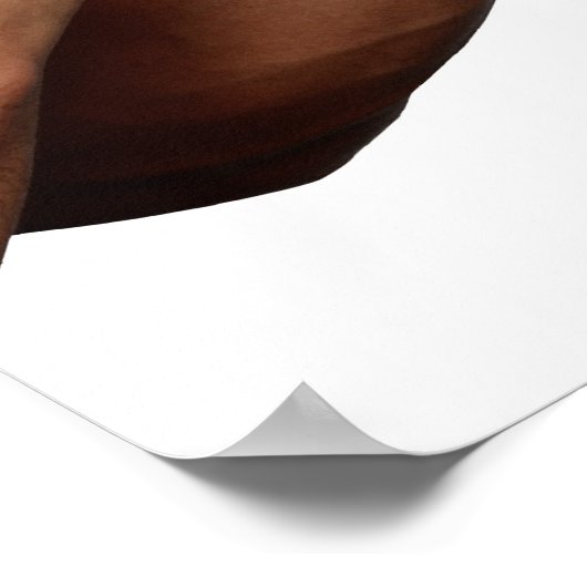 Karate Stance 2 Poster (Hoek)