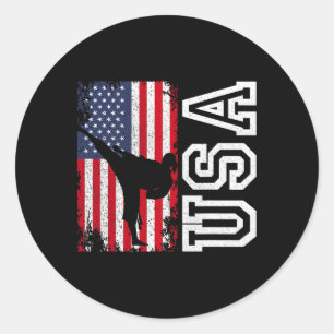 Karate Usa Vlag 4 juli Patriottisch Amerikaans Ronde Sticker