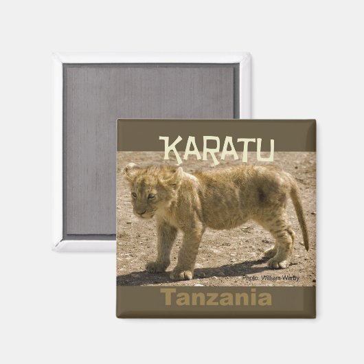 Karatu Tanzania Afrika Koelkast Magneet Leeuw welp (Voorkant / Achterkant)