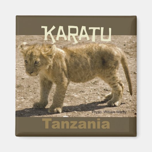 Karatu Tanzania Afrika Koelkast Magneet Leeuw welp (Voorkant)