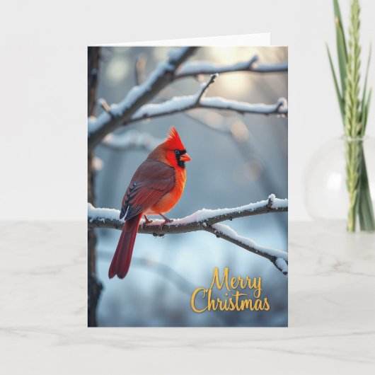 Kard met scharlaken wintervogel kaart (Voorkant)