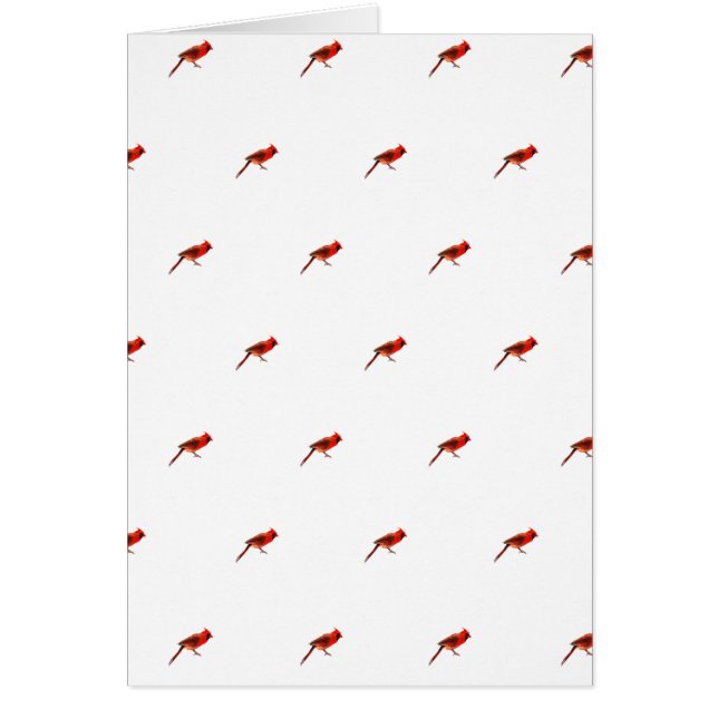 Kardinaal (Voorkant)