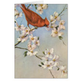 kardinaal (Voorkant)