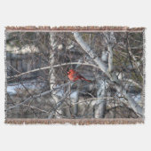 Kardinaal 2926 Blanket Throw Deken (Voorkant)