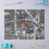 Kardinaal 2926-weefselpapier tissuepapier (Craft)