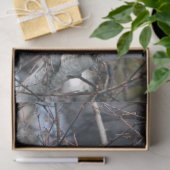 Kardinaal 2926-weefselpapier tissuepapier (Geschenk)