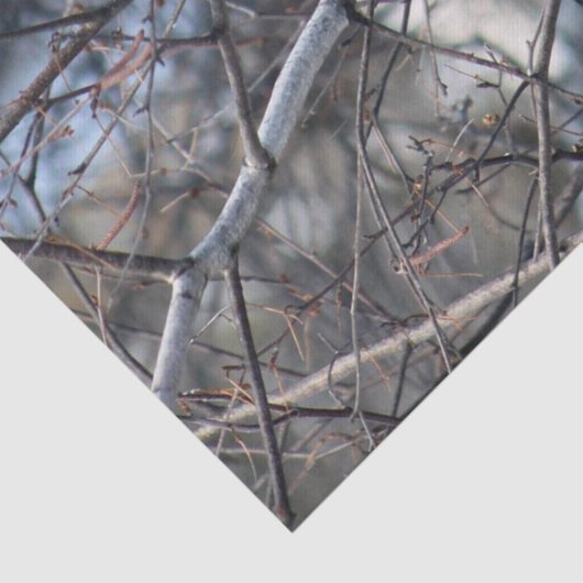 Kardinaal 2926-weefselpapier tissuepapier (Detail)