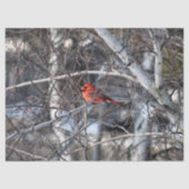 Kardinaal 2926-weefselpapier tissuepapier (Voorkant)