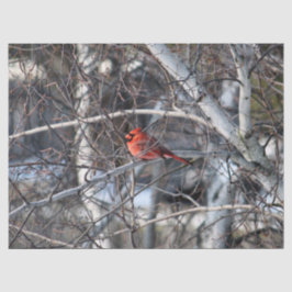 Kardinaal 2926-weefselpapier tissuepapier