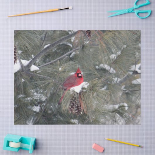 Kardinaal 3093-weefselpapier tissuepapier (Craft)