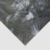 Kardinaal 3093-weefselpapier tissuepapier (Detail)