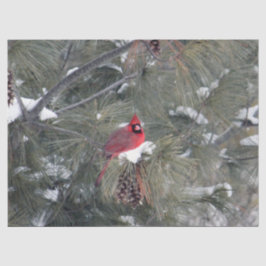 Kardinaal 3093-weefselpapier tissuepapier