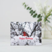 Kardinaal 6216 Birthday Briefkaart (Staand voorkant)