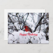 Kardinaal 6216 Birthday Briefkaart (Voorkant / Achterkant)