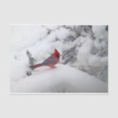 Kardinaal 6239 Papier voor weefsel (Voorkant)